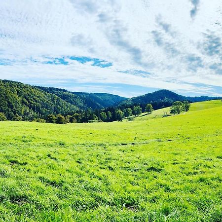 Ferienhaus Doina Gehlberg Esterno foto