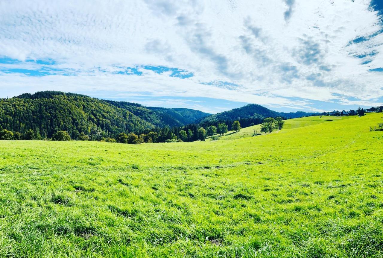 Ferienhaus Doina Gehlberg Esterno foto