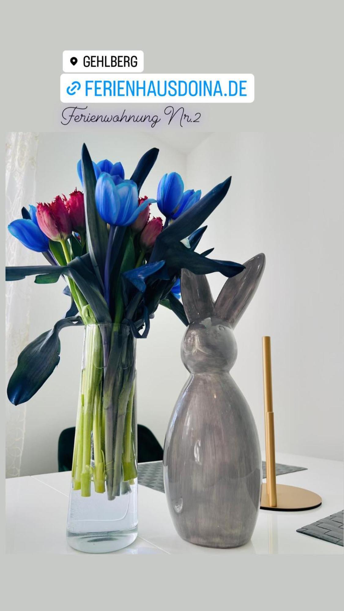 Ferienhaus Doina Gehlberg Esterno foto