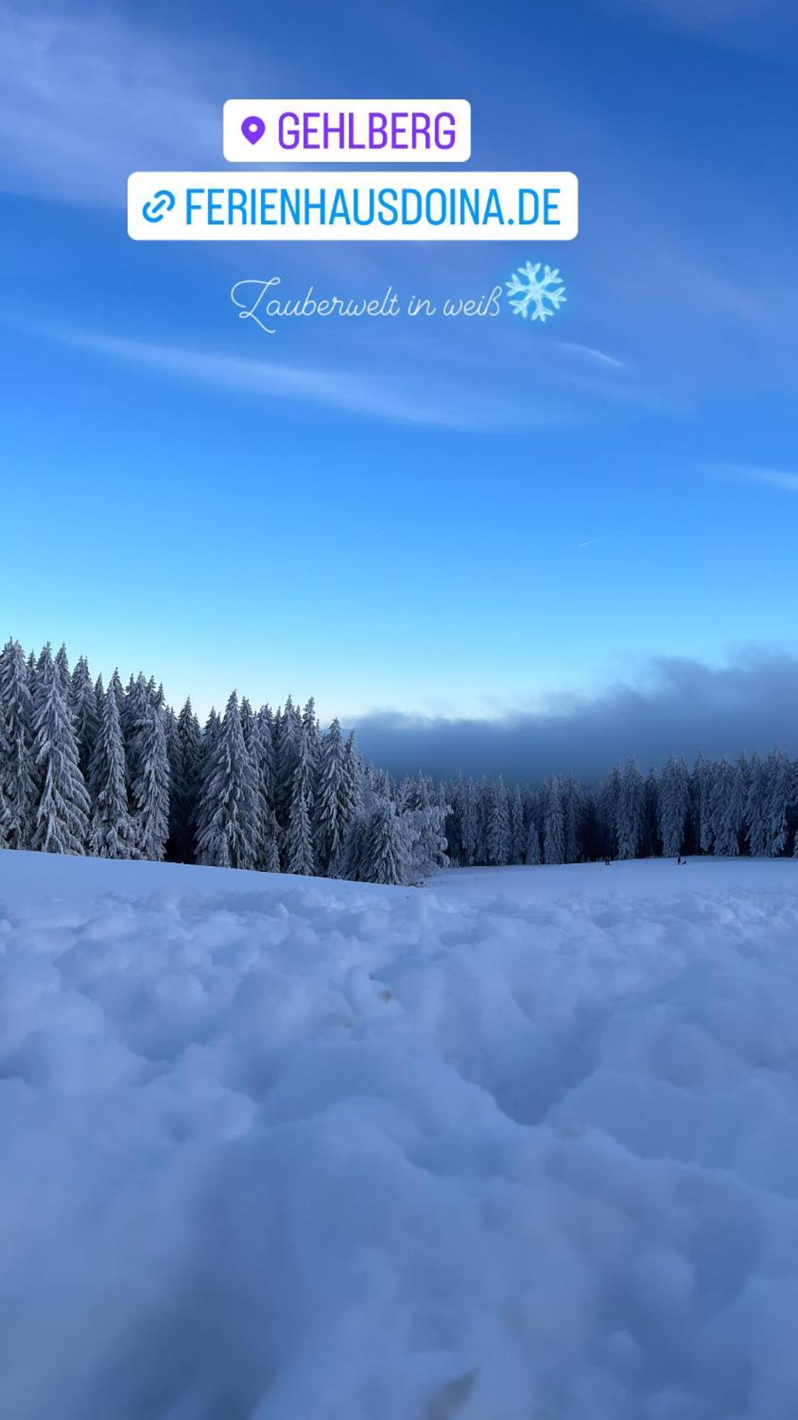 Ferienhaus Doina Gehlberg Esterno foto