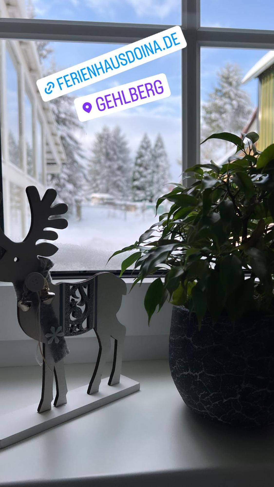 Ferienhaus Doina Gehlberg Esterno foto
