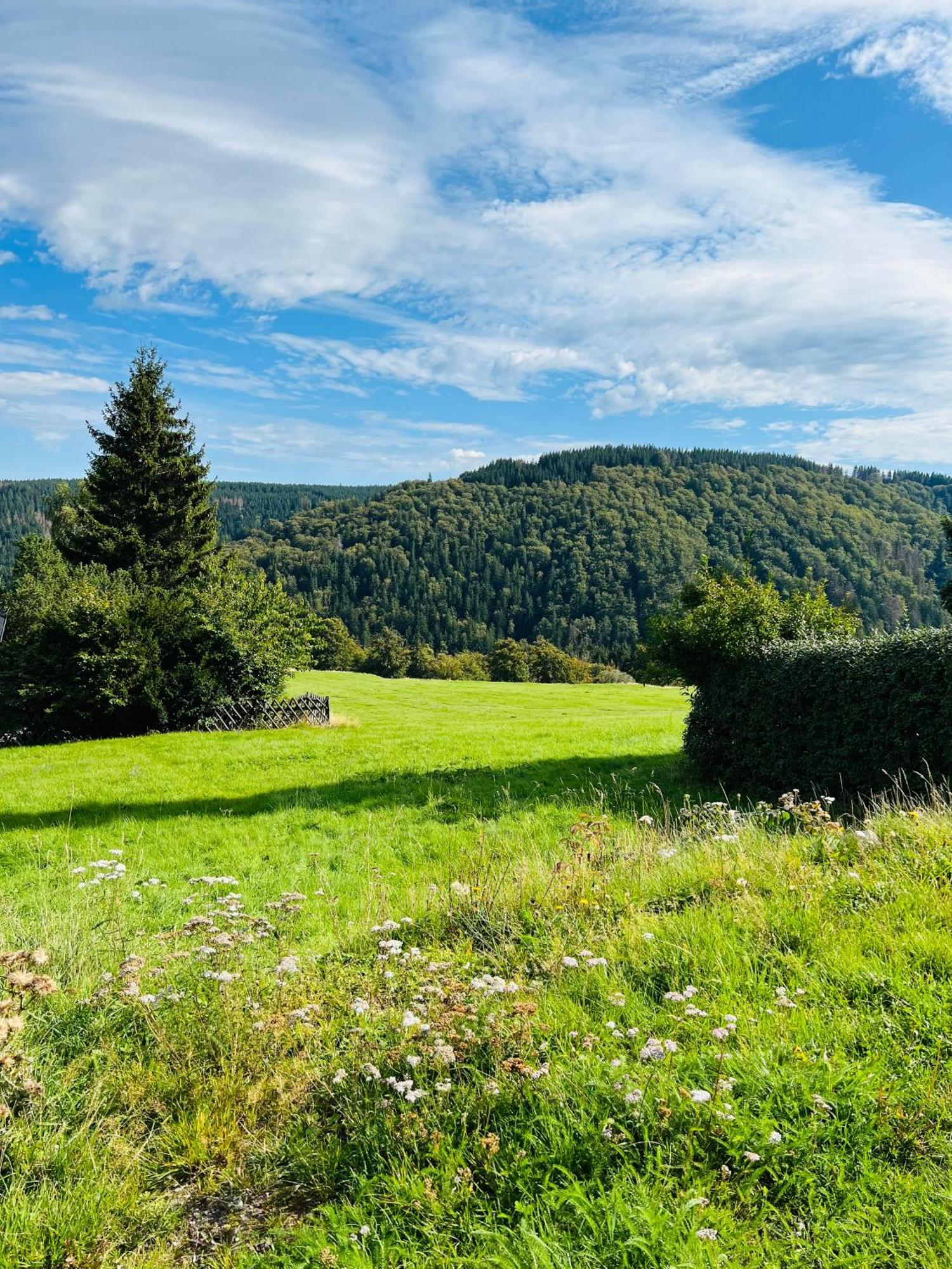Ferienhaus Doina Gehlberg Esterno foto