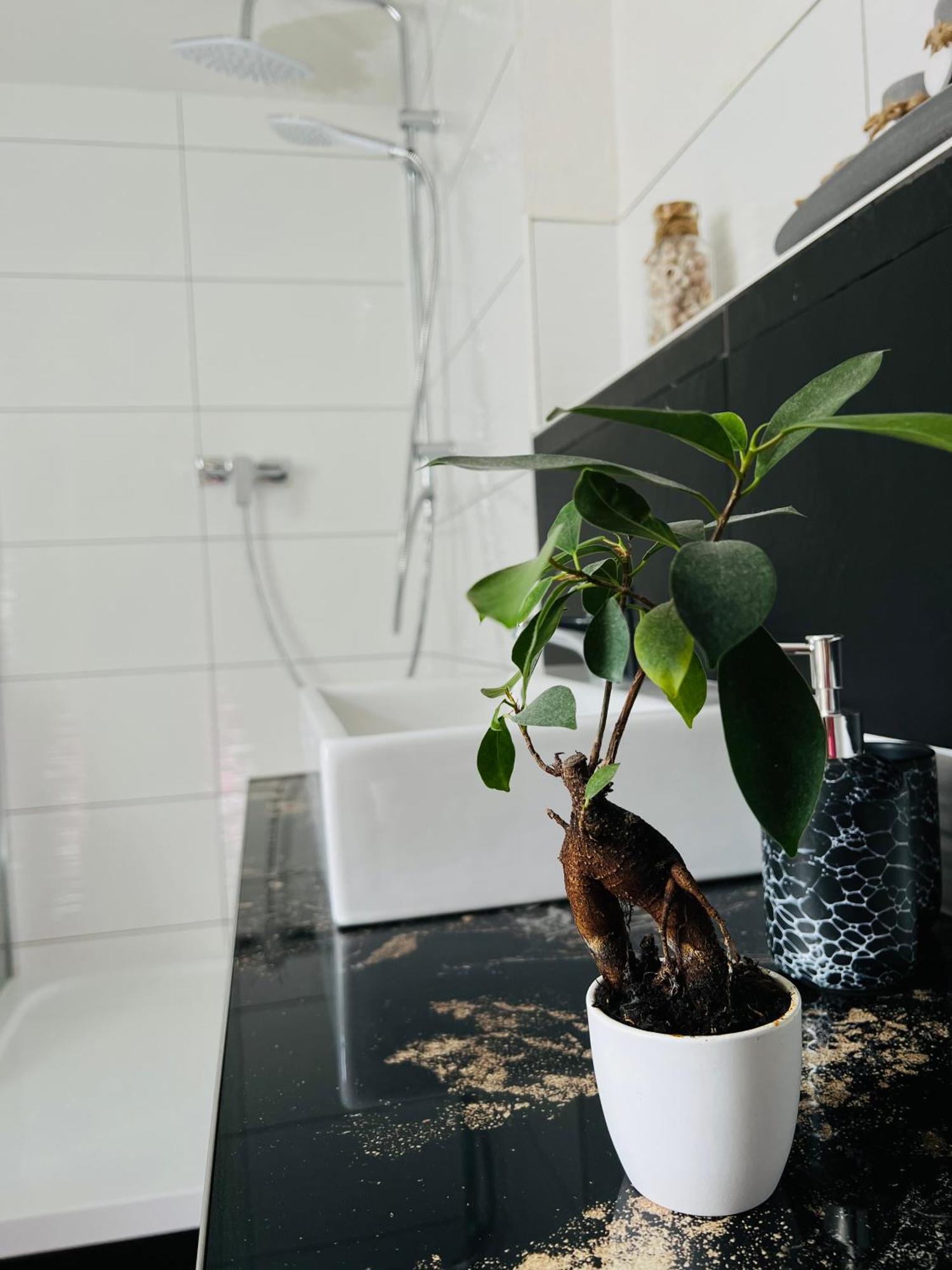 Ferienhaus Doina Gehlberg Esterno foto